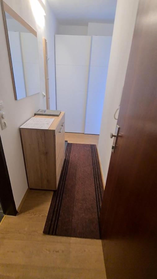 Alpen Apartment The View 巴特霍夫加施泰因 外观 照片